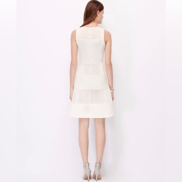 6P Ann Taylor Mesh Panel Dress - Picture 5 of 9